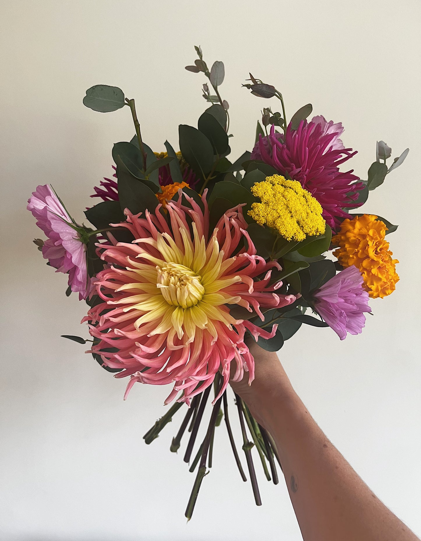 Dahlia 2025 Subscription