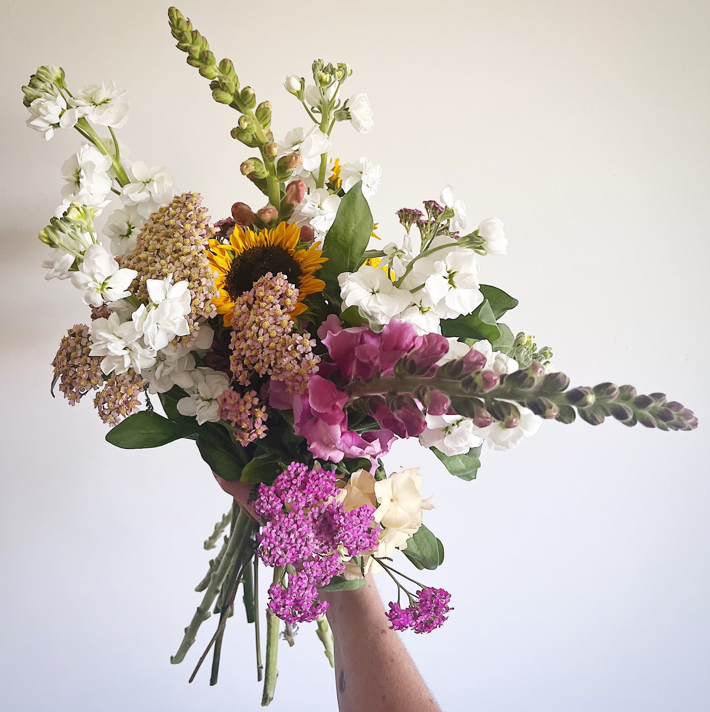 Dahlia 2025 Subscription