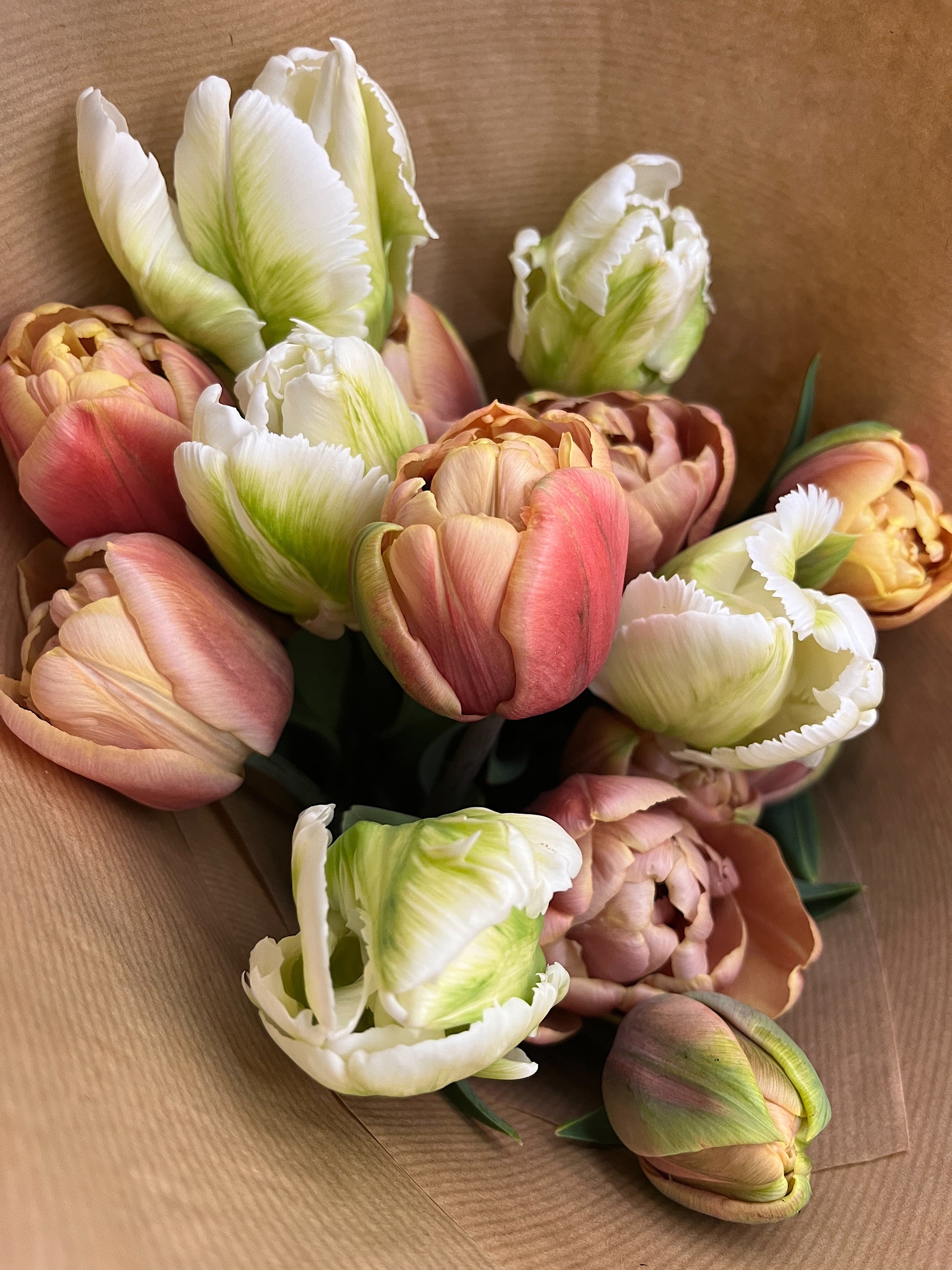 moss botanicals edinburgh friday flowers tulips