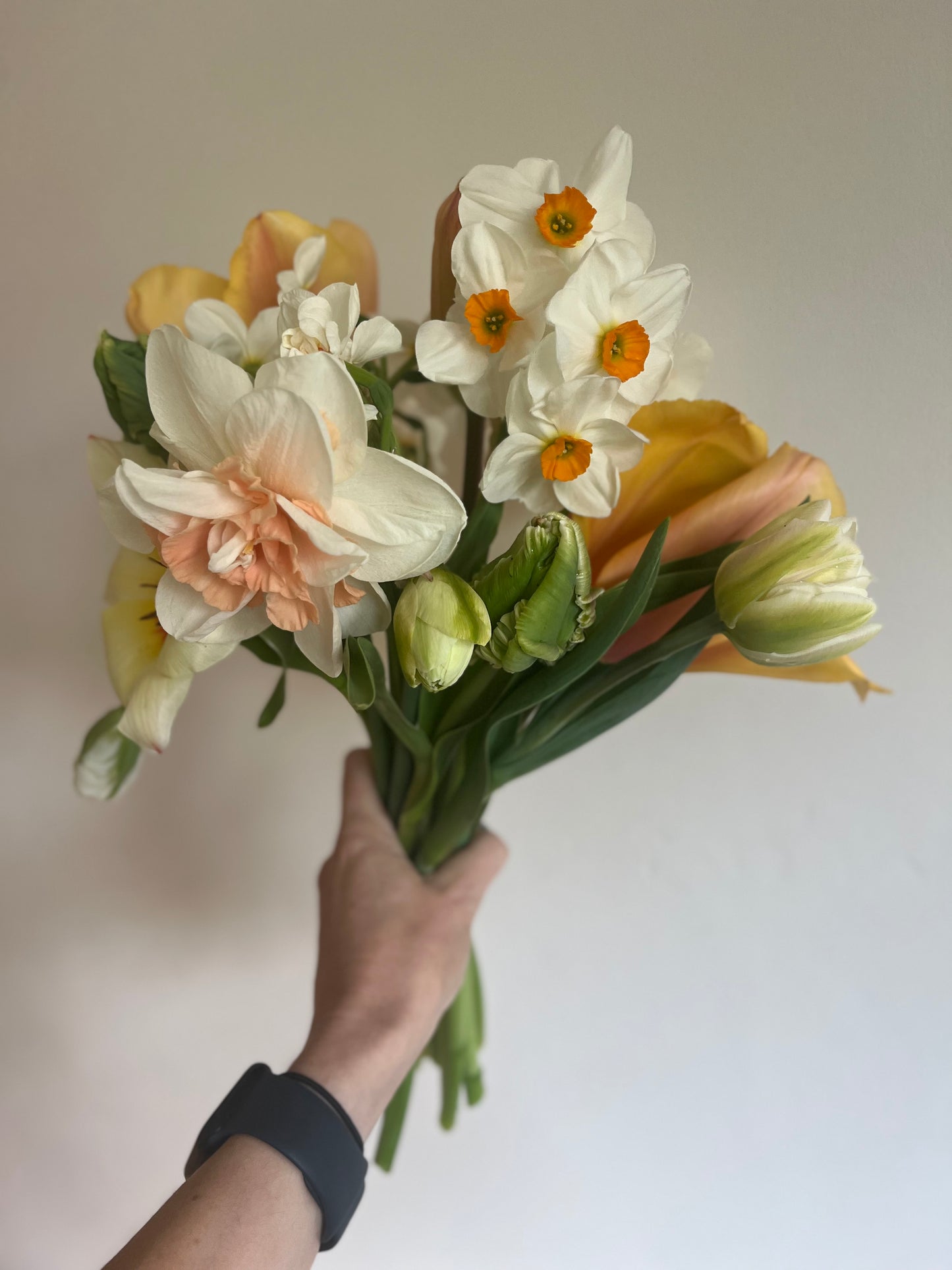 Moss Botanicals Edinburgh Spring Bouquet Tulips Daffodils